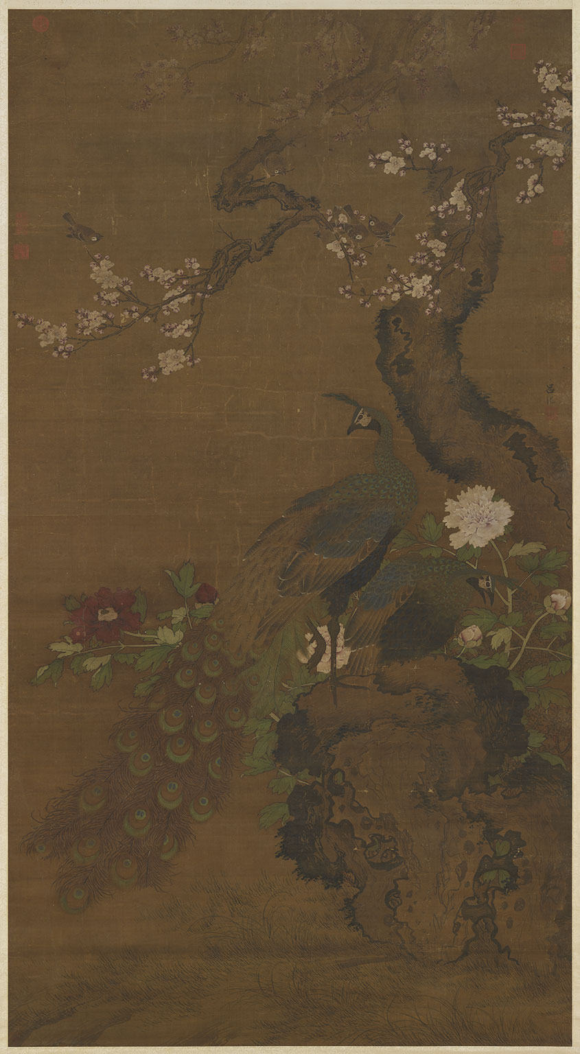 Peacocks and Apricot Blossoms