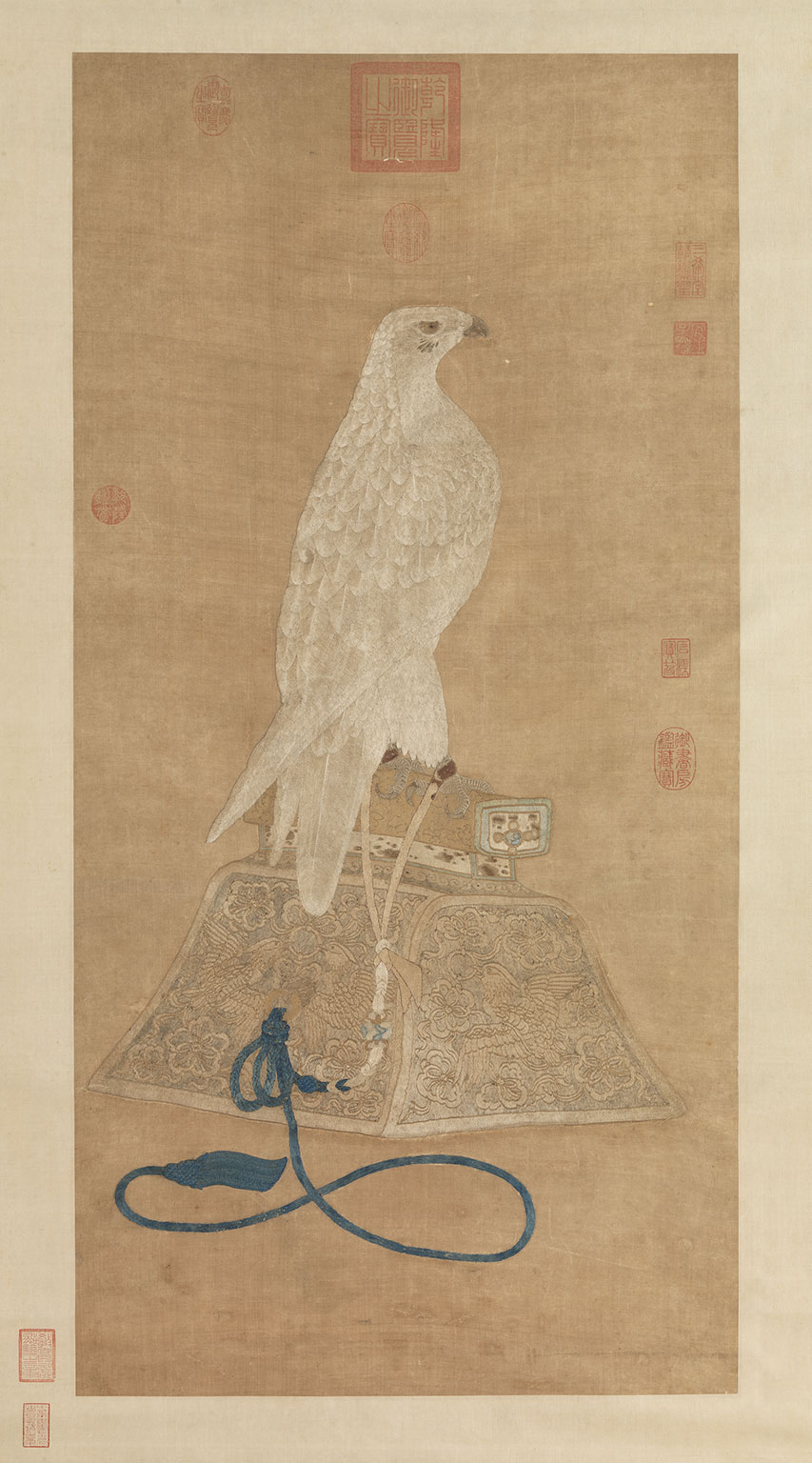 A White Falcon