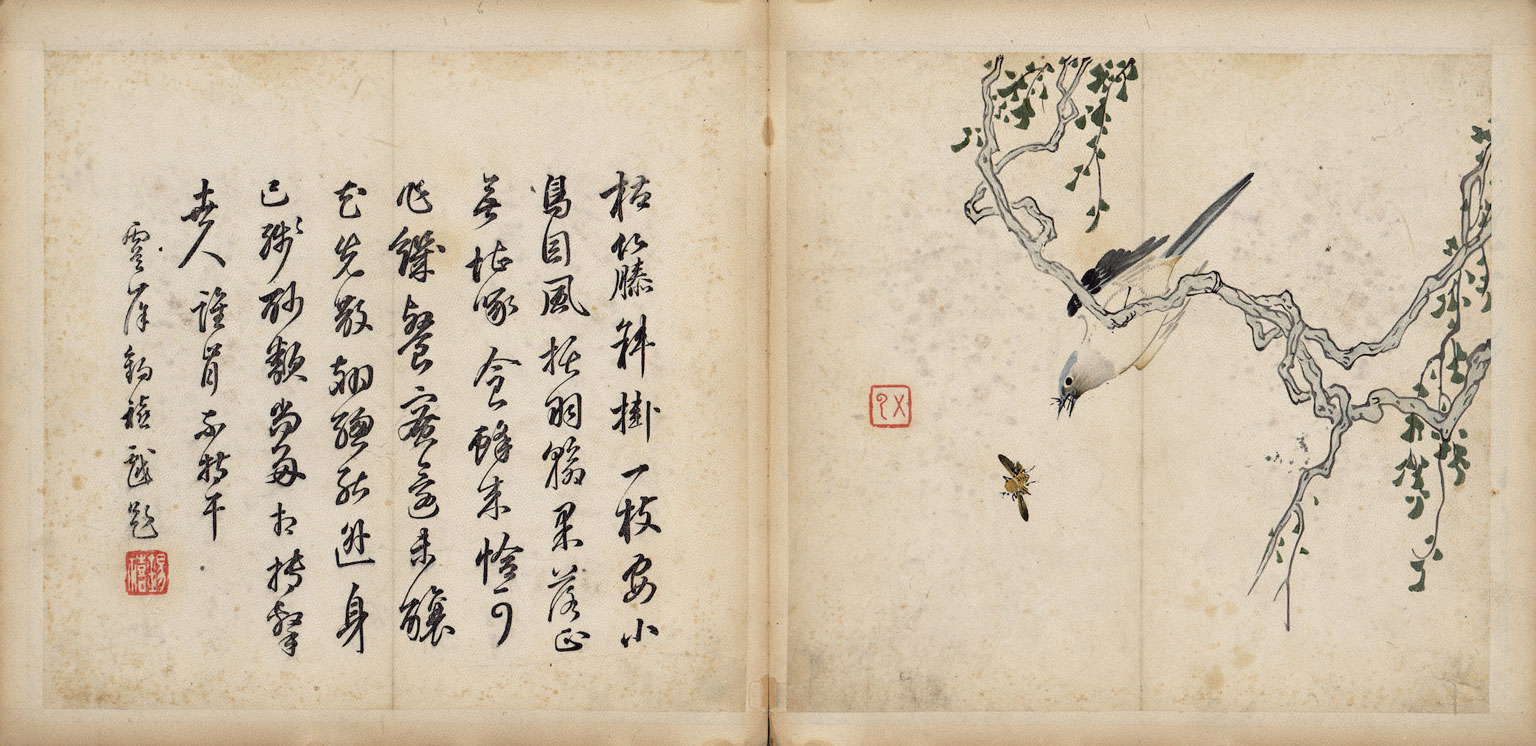 Painting and Calligraphy Manuals from the Shizhu Studio: Manual on Birds