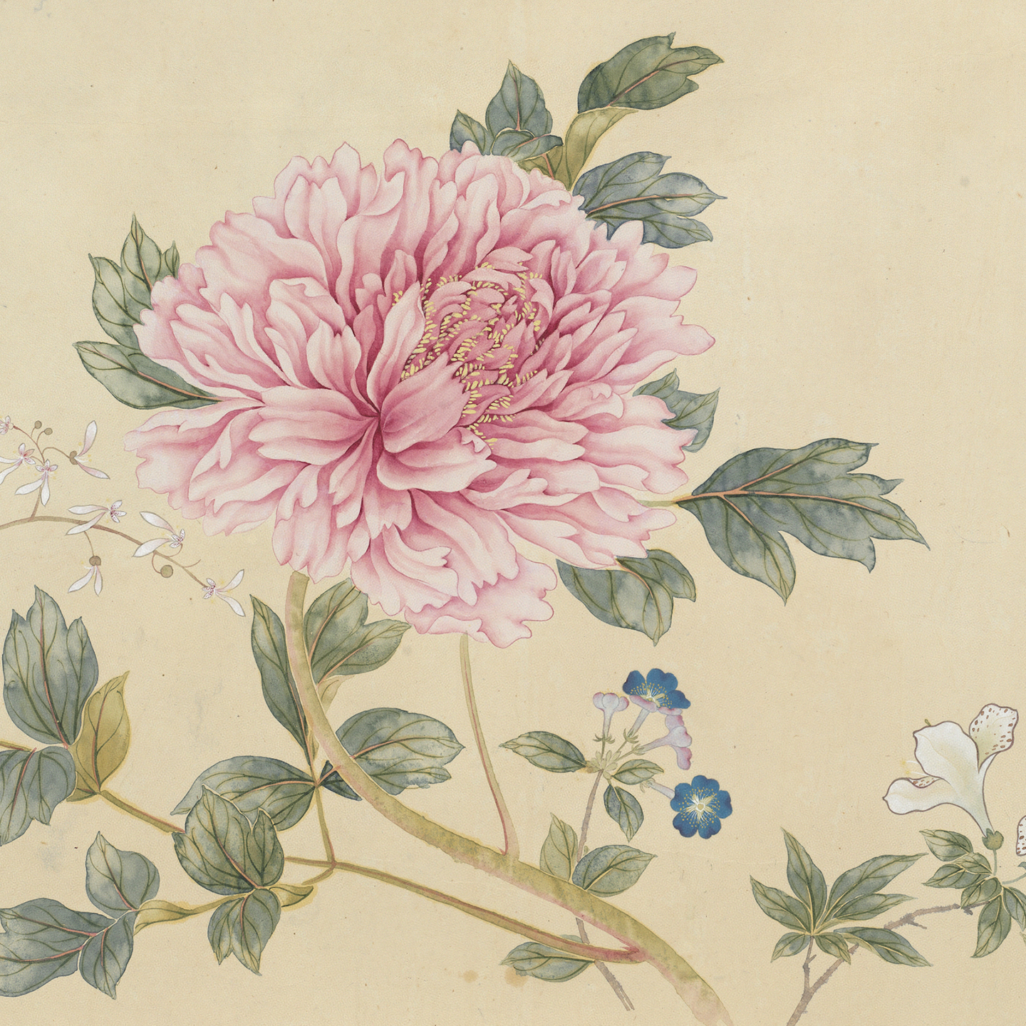 Spring Fortune Collected in a Brocade