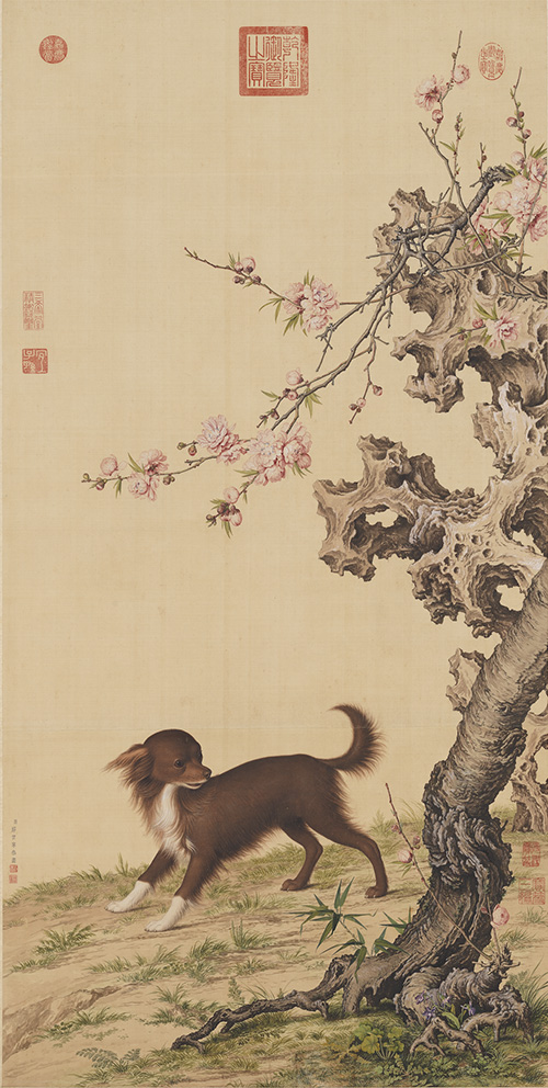 Long-haired Dog Beneath Blossoms