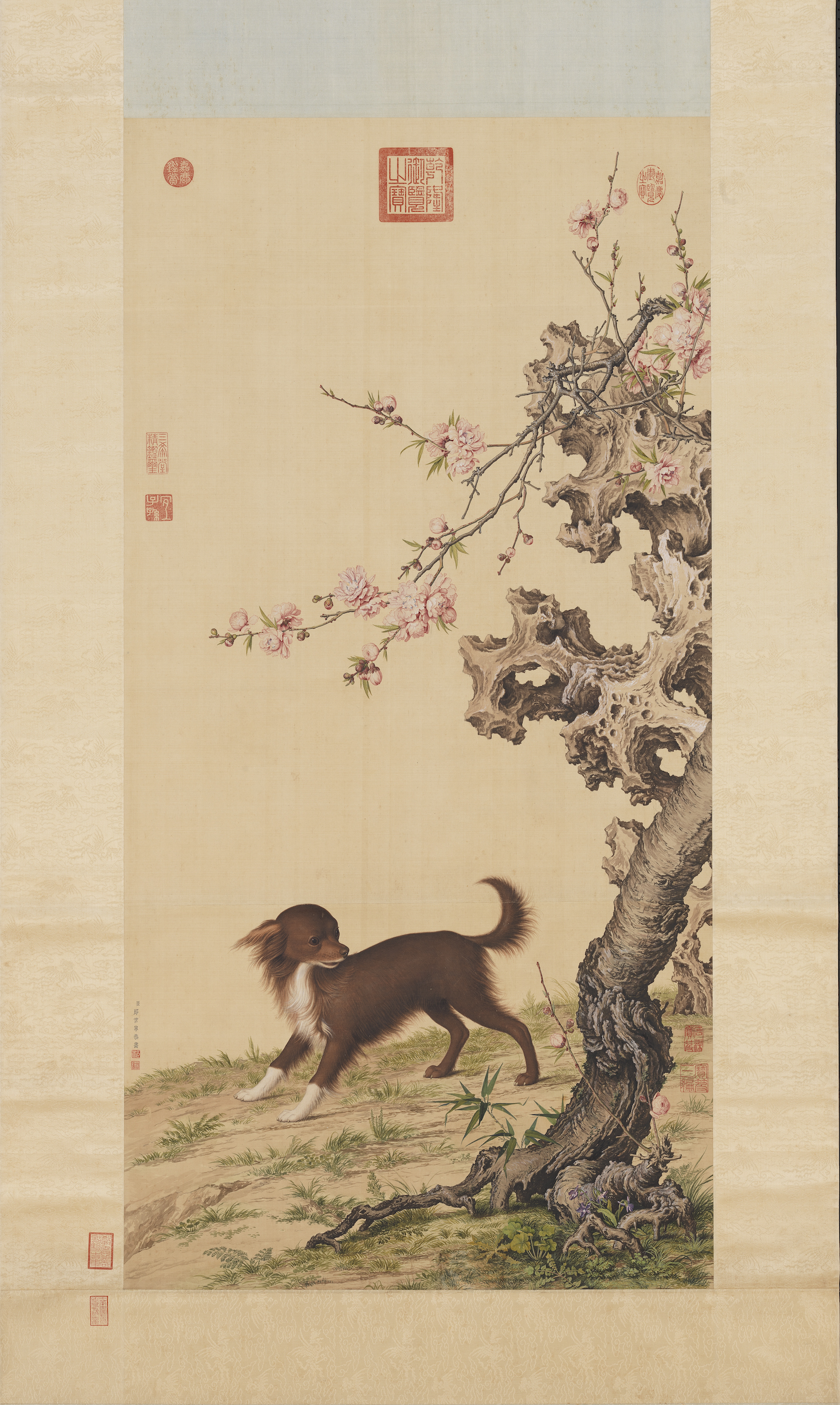 Long-haired Dog Beneath Blossoms