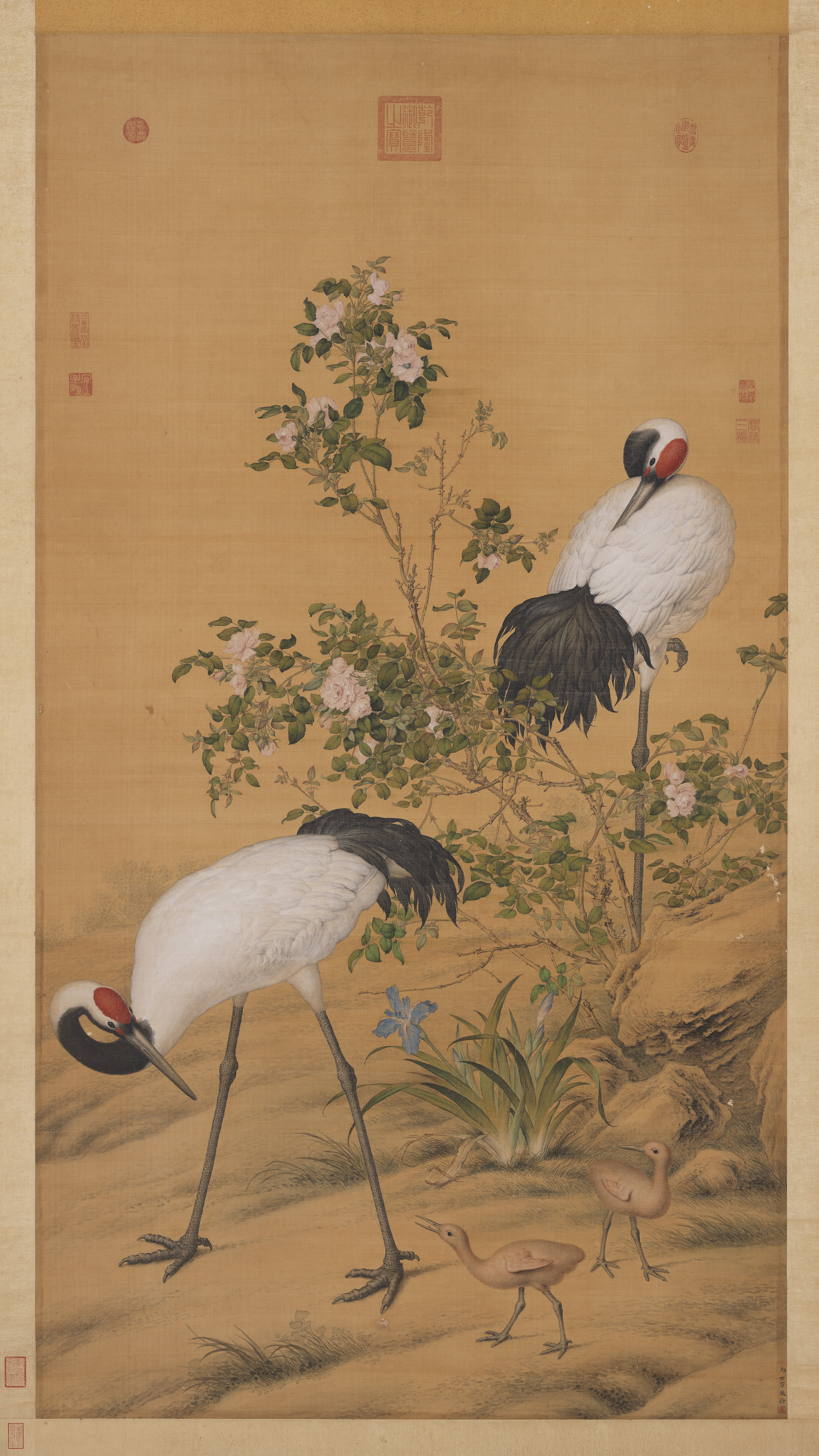 Pair of Cranes in the Shade of Flowers