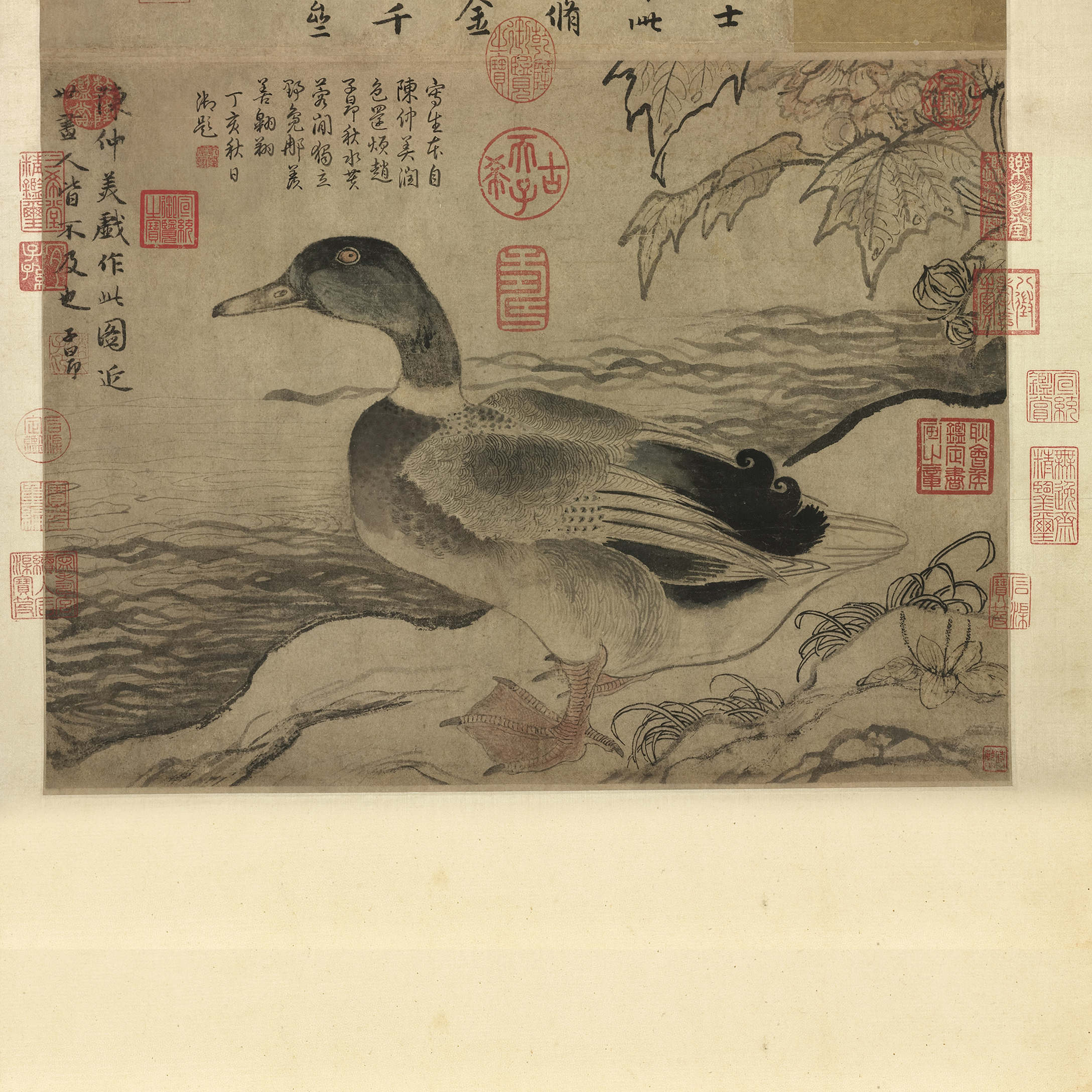 Wild Duck by a River