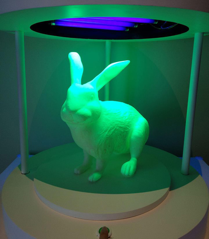 GFP Bunny