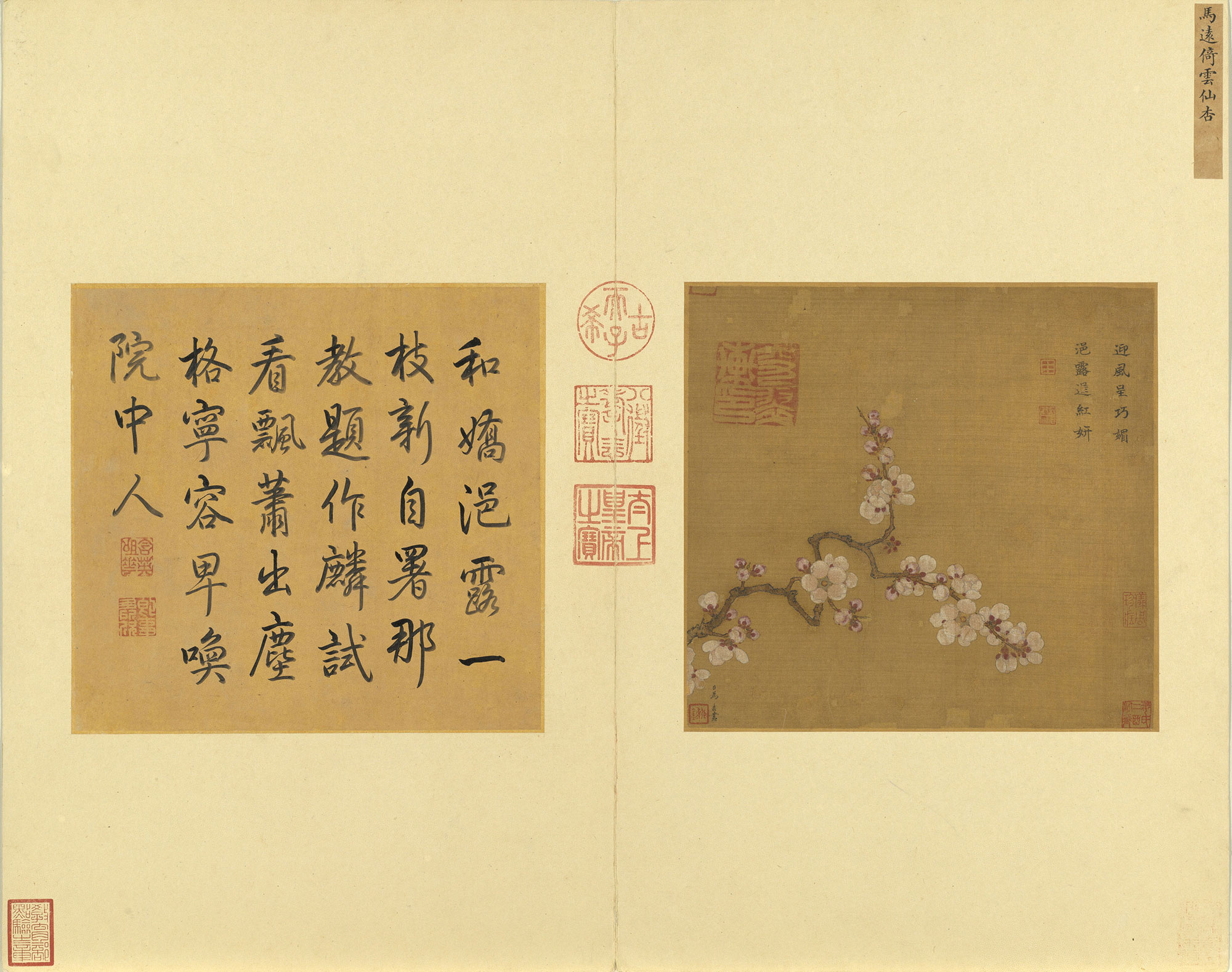 Inscription on Ma Yuan's 'Apricot Blossoms'