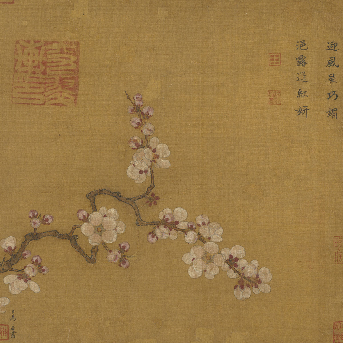 Inscription on Ma Yuan's 'Apricot Blossoms'