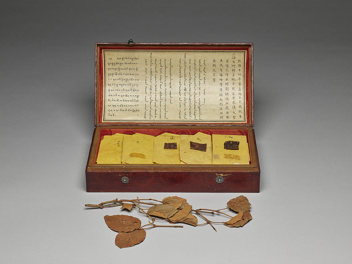Leaves of fragrant white sandalwood with veins in the shape of a mystical Tibetan character in a leather box