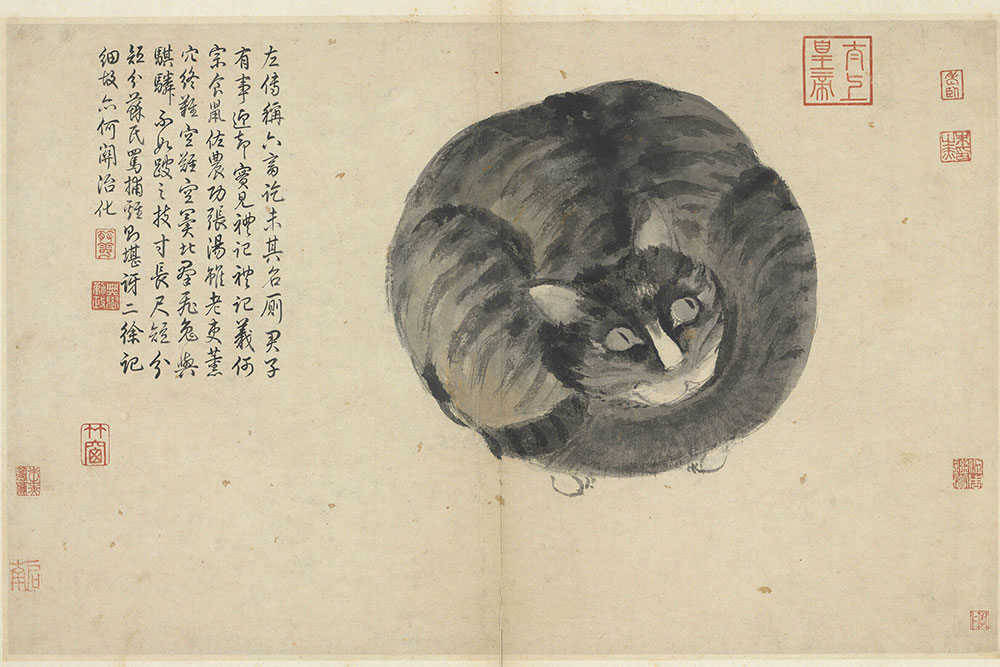 明 沈周 写生冊 猫_預覽圖