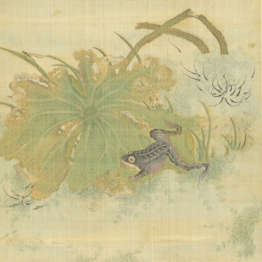 A Frog and Shoal of Fish Amidst Lotus and Green Algae_preview