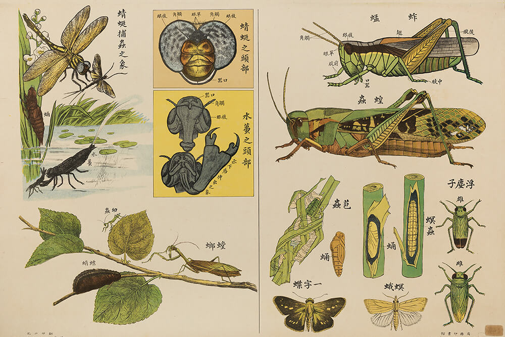 Illustrations of the Sciences_preview