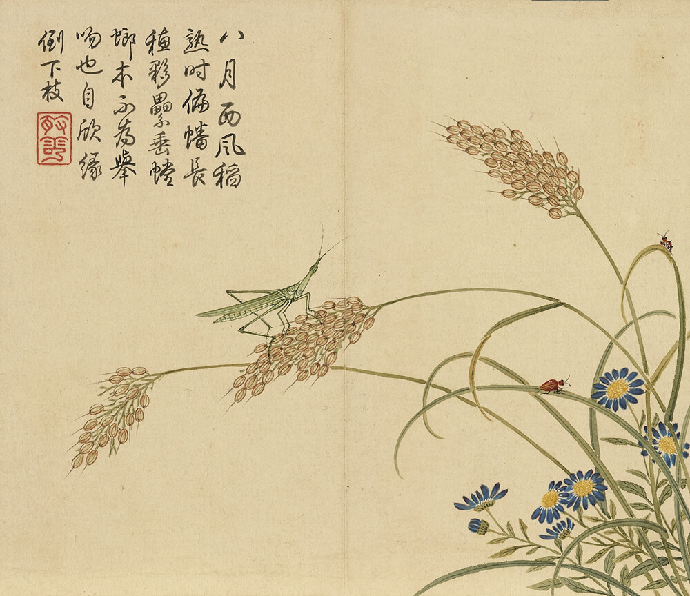 Insects and Ears of Rice_preview