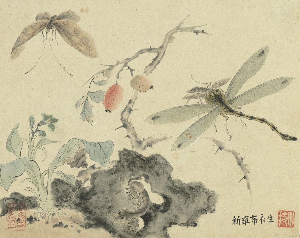 Plants and Insects_preview