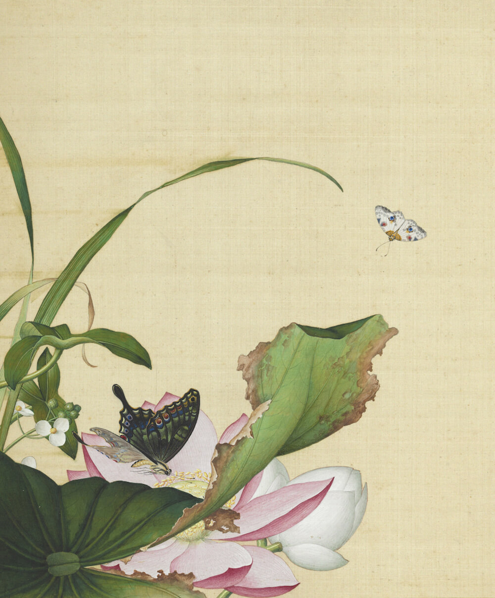 Lotuses, Arrowhead, and Butterflies_preview