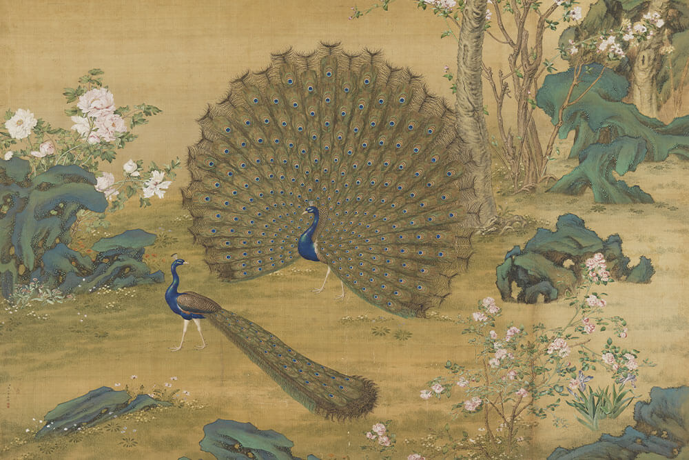 Qing Dynasty, Giuseppe Castiglione, Peacock Spreading Its Tail Feather_Preview