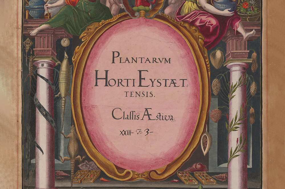 Hortus Eystettensis (Garden of Eichstätt)_Preview