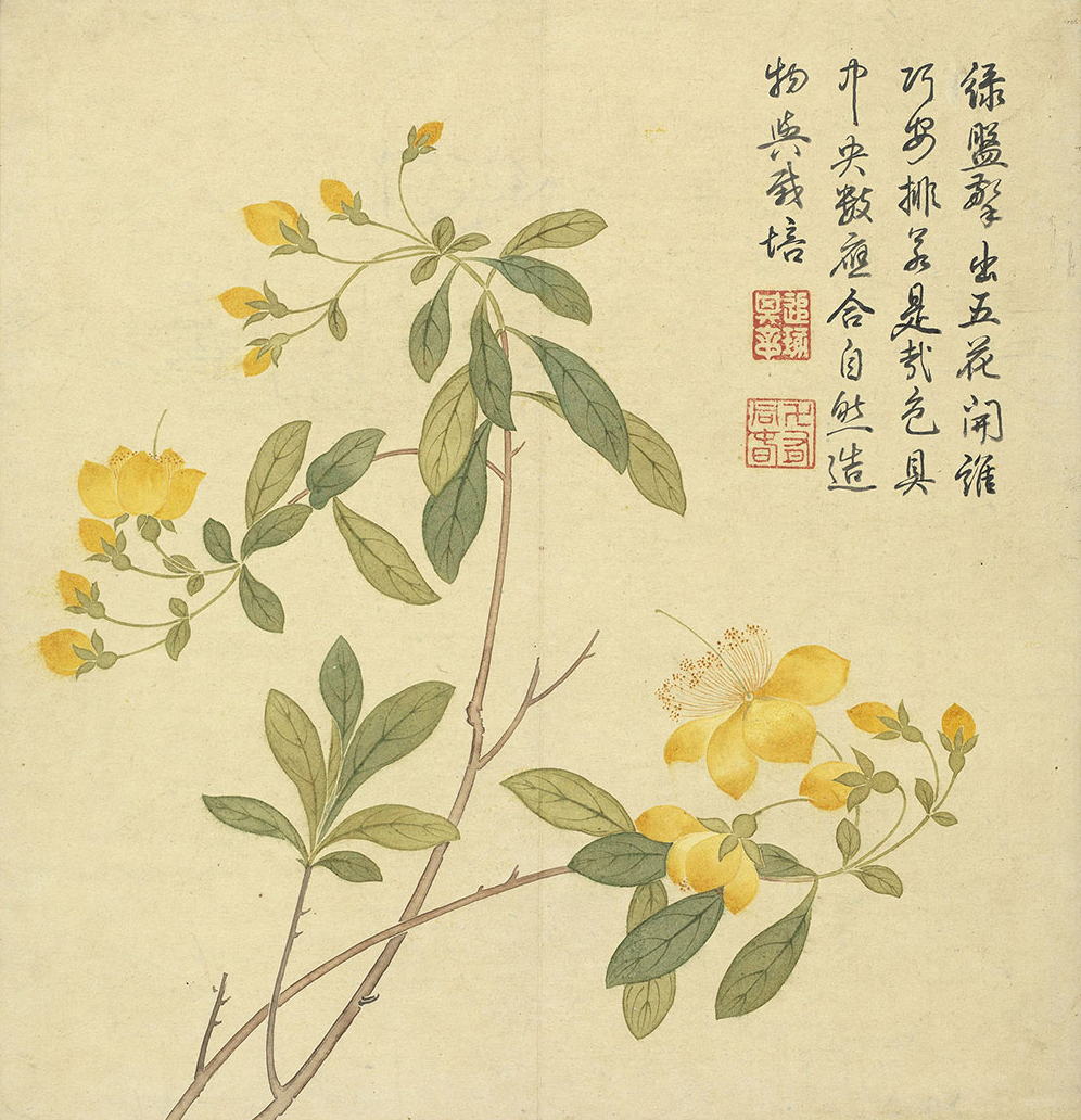 Flowering Plants (Golden Thread Peach Blossoms)_preview