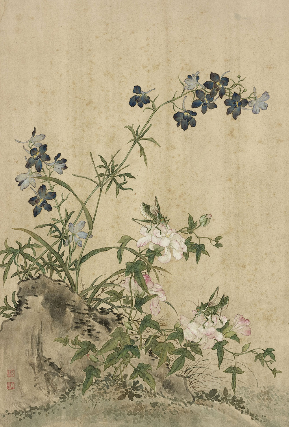 Paintings from Life (Japanese Bindweed and Chinese Delphinium)_preview