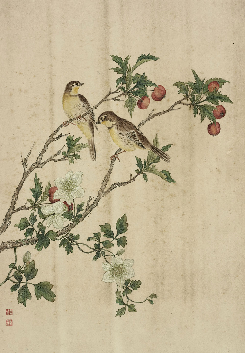 Paintings from Life (Asian Virginsbower and Chinese Hawthorn) _preview