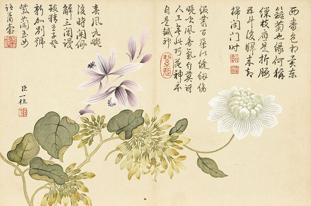 Flowering Plants (Chinese Ground Orchid, Lady of the Night, Creeping Chrysanthemum)_preview