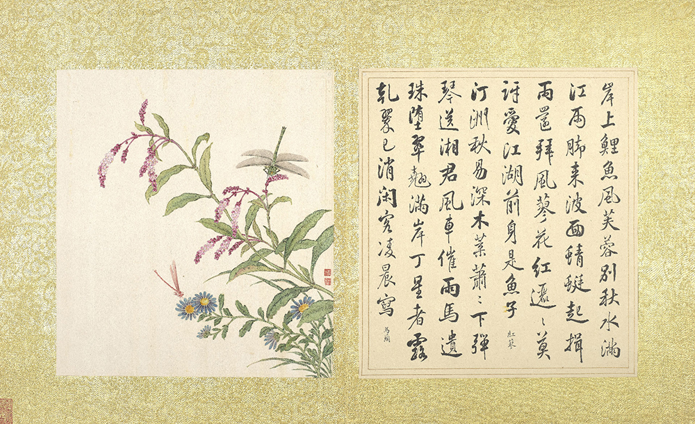 Harmonious Pairing of Calligraphy and Painting Princess-feather and Indian Aster_preview