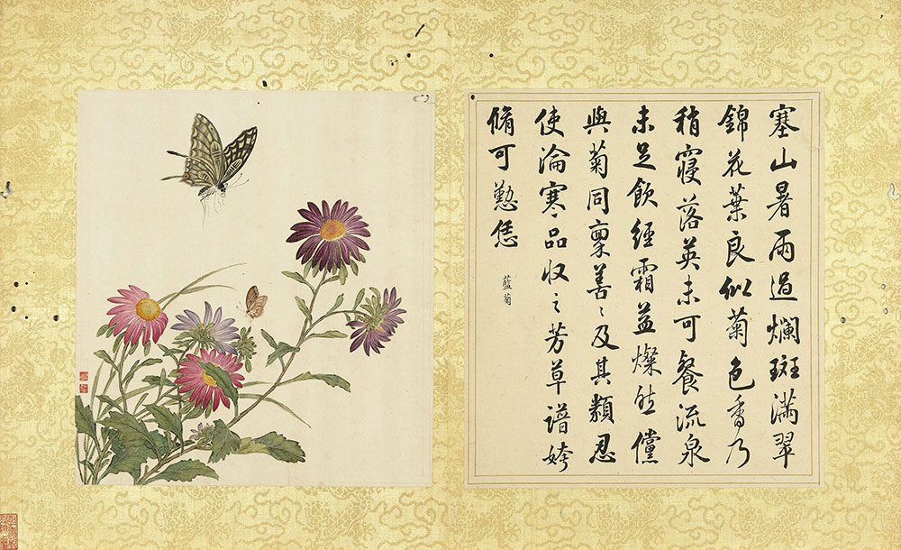 Harmonious Pairing of Calligraphy and Painting Brightly Colored China Aster_preview
