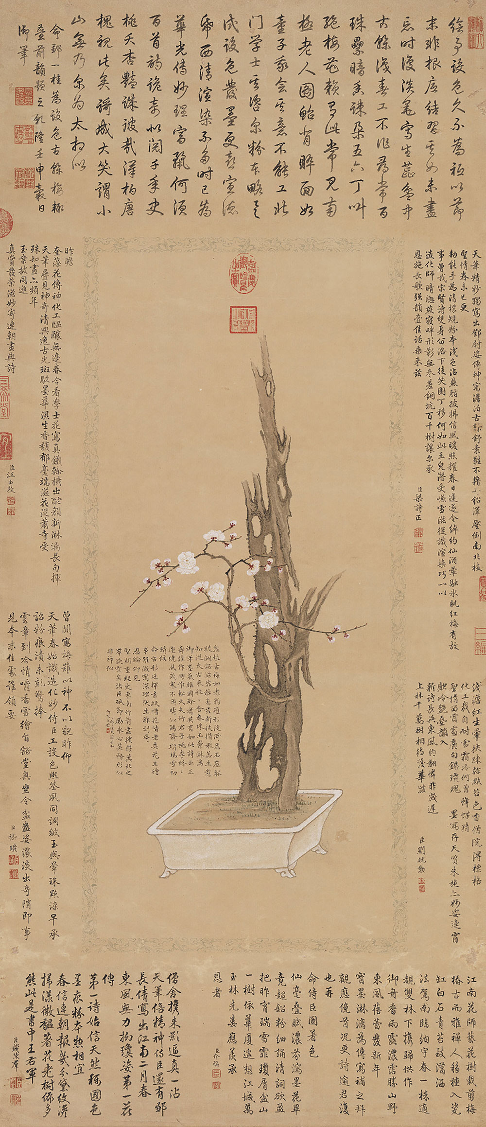 Ancient Tree Trunk with Plum Blossoms_preview