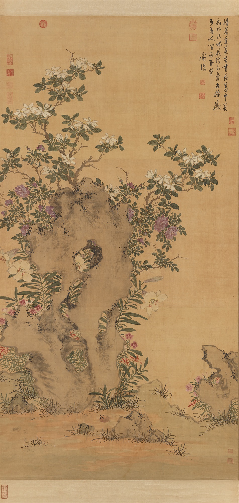 Colored Painting of Flowers and Plants, Chen Chun, Ming dynastypreview