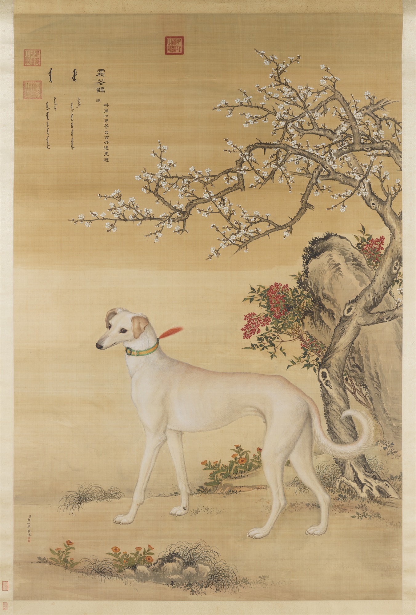 Ten Paintings of Prized Dogs—Frost Flower Hawk Lang Shining (Giuseppe Castiglioni), Qing dynasty