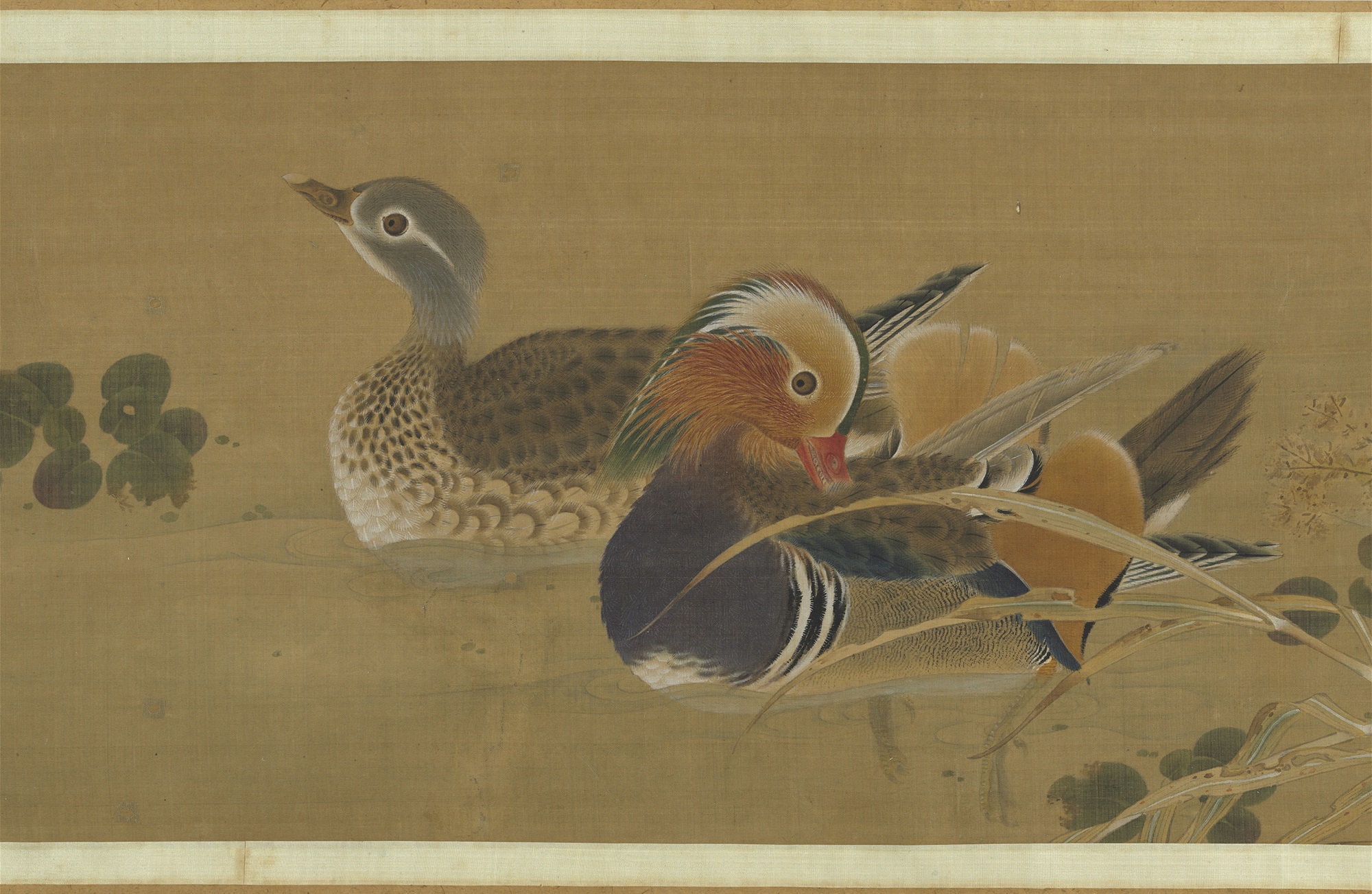 Painting from Life Depicting Plumage Attributed to Huizongpreview