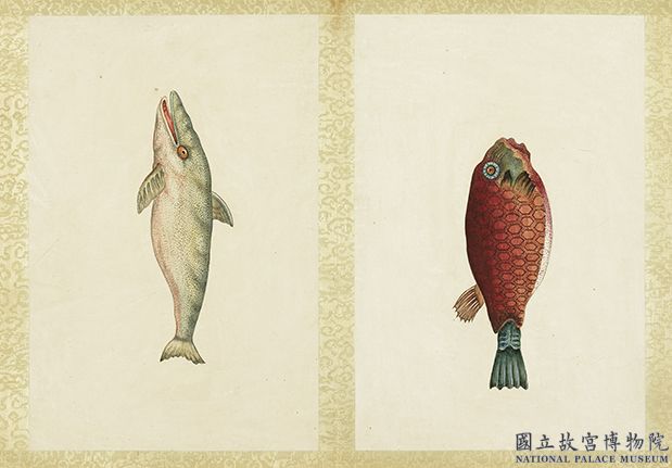 海怪圖記　冊　怪魚十三；怪魚十四