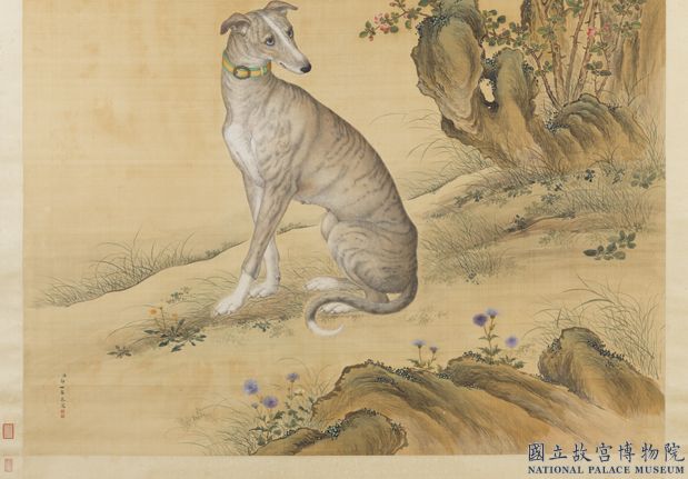 清郎世寧畫十駿犬斑錦彪　軸