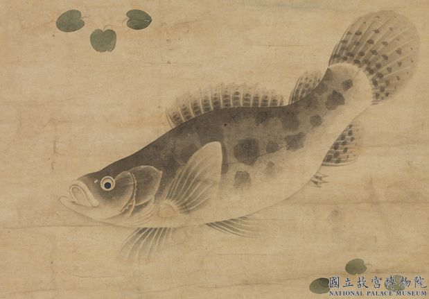 元人魚藻圖　軸