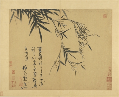 Manual of Ink Bamboo
